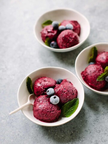 Easy 3-Ingredient Blueberry Sorbet