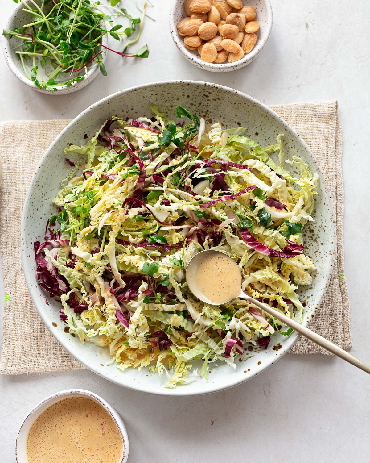 Simple Cabbage Slaw with Champagne Vinaigrette - Familystyle Food