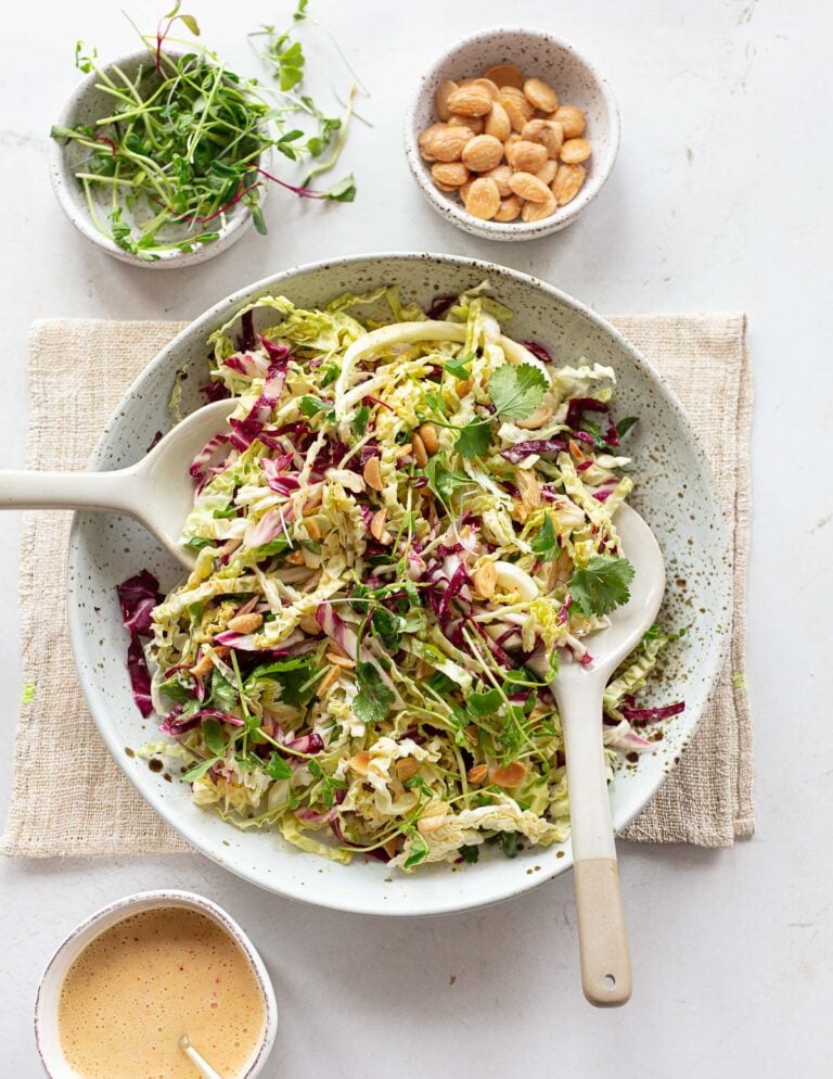 Simple Cabbage Slaw with Champagne Vinaigrette