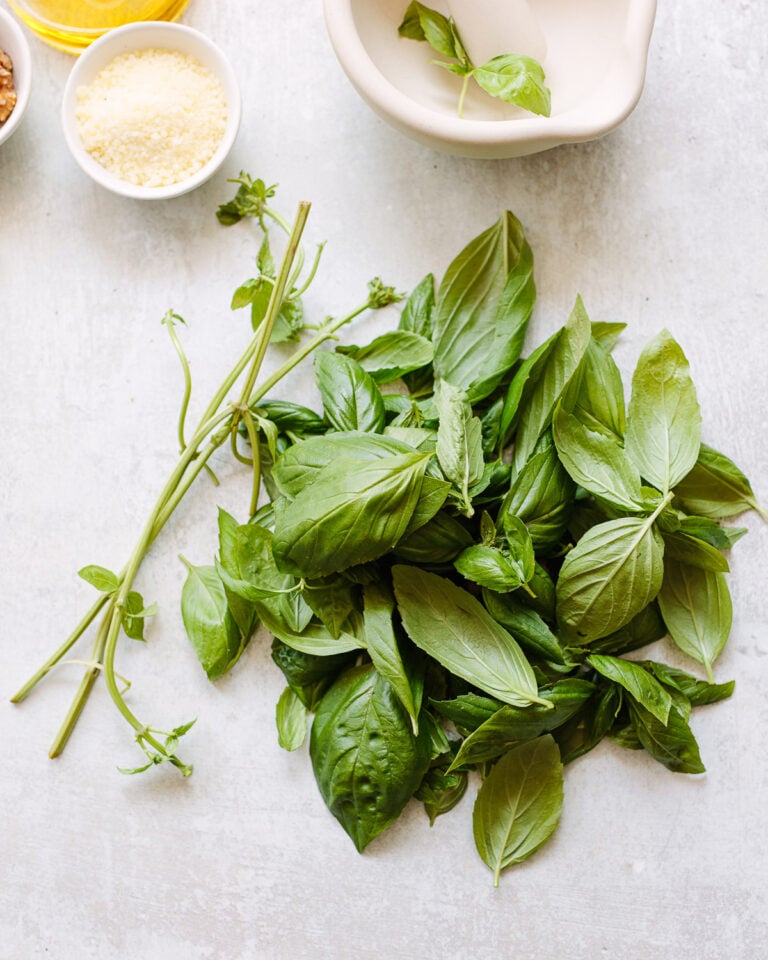 Fresh Basil Pesto Sauce (The Perfect Ratio) Familystyle Food