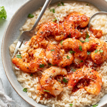 Shrimp risotto topped with chopped parsley, and grated cheese arranged on top of a bowl of creamy rice.